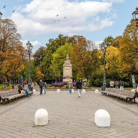 Lila-licious * Breda