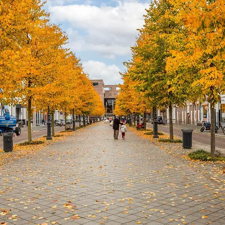 Lila-licious * Breda