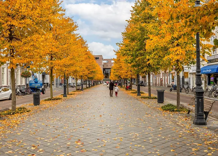 Lila-licious * بريدا